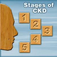 5 Stages of CKD Help doctors give the best treatment to