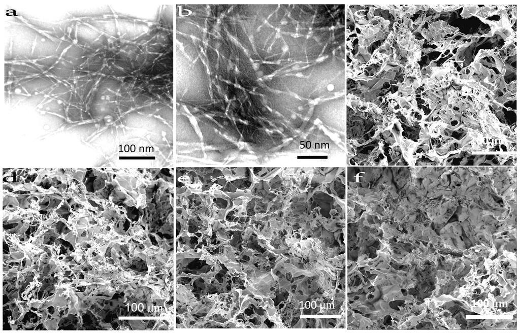 (a, b) TEM images of ACNC crystals; and SEM images of the inner layers of the aerogels with (c) 0.4 wt.%, (d) 0.