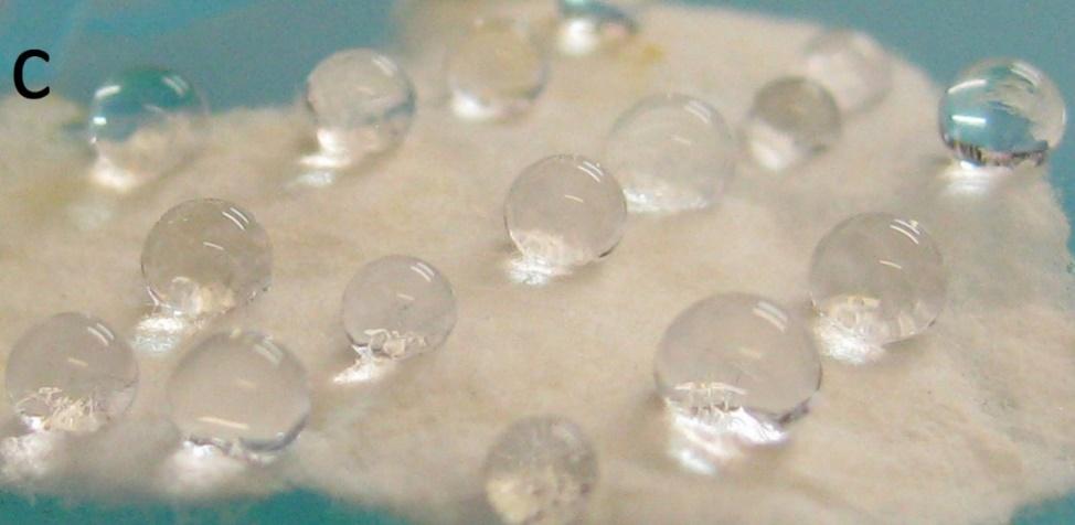 Hydrophobicity and transparency