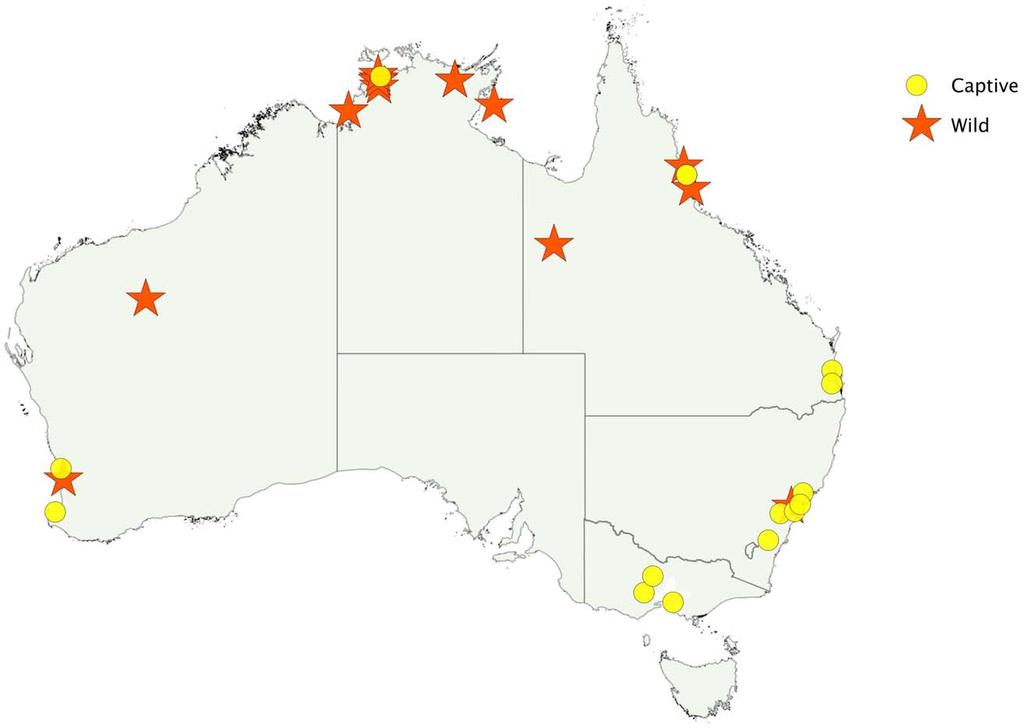 Figure 1. Geographical location of death adder bites, including bites by captive snakes (red star) and bites by snakes in the wild (yellow circle). doi:10.1371/journal.pntd.0001841.