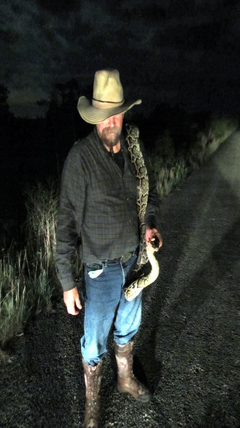 Authorized Agent Program Volunteers authorized to remove pythons in Everglades NP
