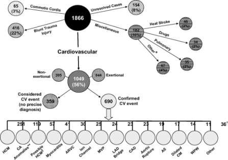 Cardiovascular causes of sudden death in young competitive