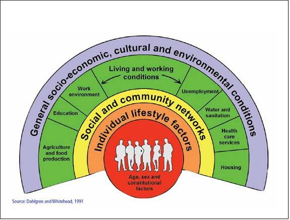 Social Determinants of Health The social determinants of health are the cultural, economic, physical, social and behavioral environments we live in that influence our health options, decisions, and