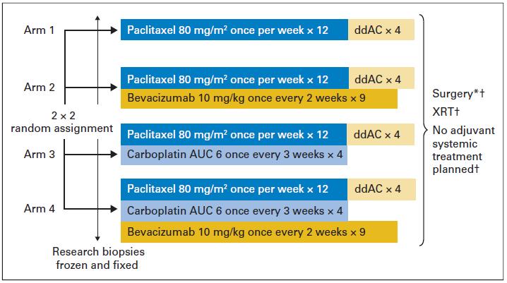 Impact of the Addition of Carboplatin and/or Bevacizumab to Neoadjuvant Once-per-Week Paclitaxel Followed by Dose-Dense Doxorubicin and Cyclophosphamide on Pathologic