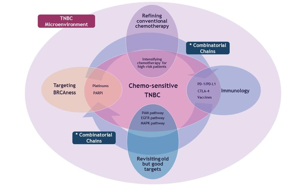 Future aspects of therapeutic strategies in patients with TNBC based on its chemosensitivity and immune-molecular