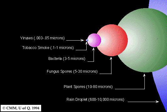 Relative Size Scale of Particles in the Air Mold