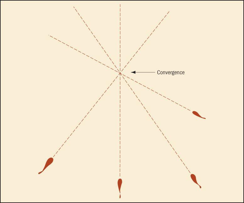Illustration of stain convergence on a two-dimensional plane.