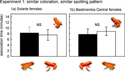 M. E. MAAN AND M. E. CUMMINGS males (all F < 1.341, P > 0.285). Males differed significantly in all measures of ventral coloration (all P < 0.01, see Fig.