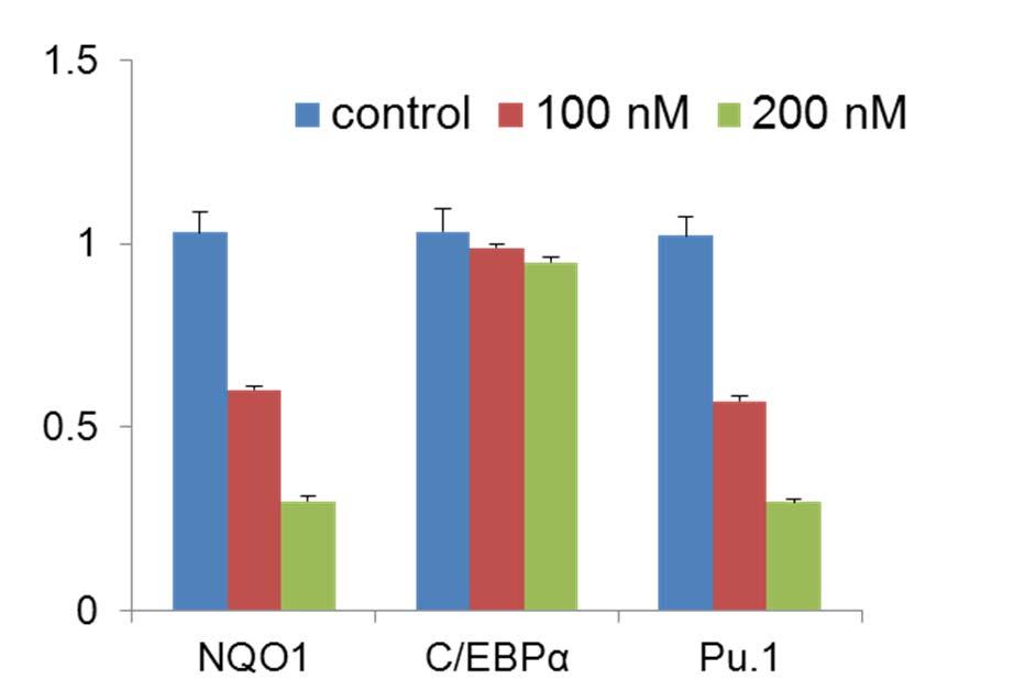 75 μg -V5 plasmid, and U937 cells were transfected with 100 or 200 nm sirna, 48 hours later, RNA was extracted and converted to cdna.