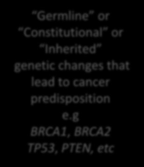 e.g BRCA1, BRCA2