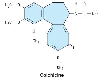 DRUGS IN GOUT (1) Acute goat Colchicine Diclofenac, Indometacin, Naproxen, Phenylbutazone, Piroxiam (2) Chronic gout Uricostatics (xantine oxidase inhibitors)