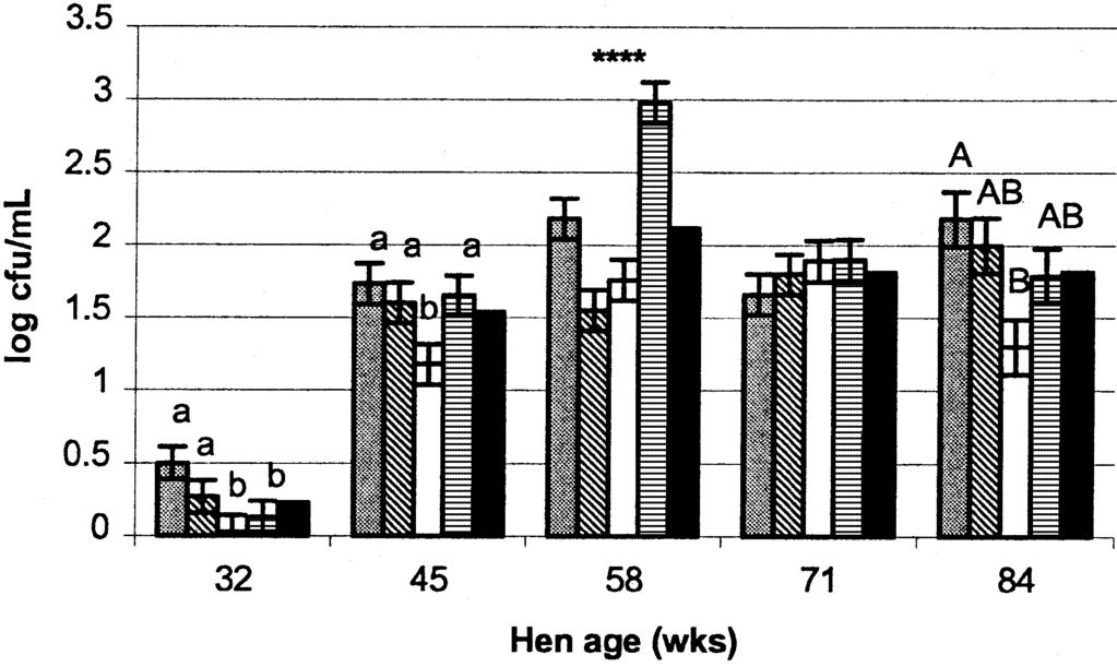 HEN STRAIN AND AGE EFFECTS ON BACTERIAL CONTAMINATION OF EGGS 717 albumen from the membrane with sterile distilled water and then rinsing with 70% ethanol.