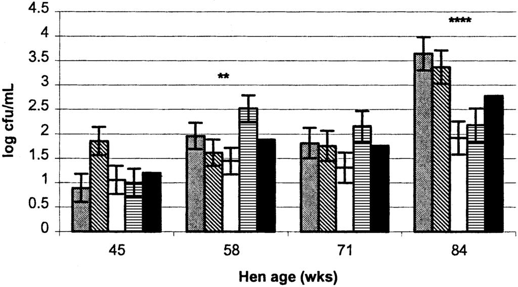 718 JONESETAL. FIGURE 3. Effect of hen age and hen genetic strain on Salmonella enteritidis counts obtained from the interior (air cell) of inoculated shell eggs.