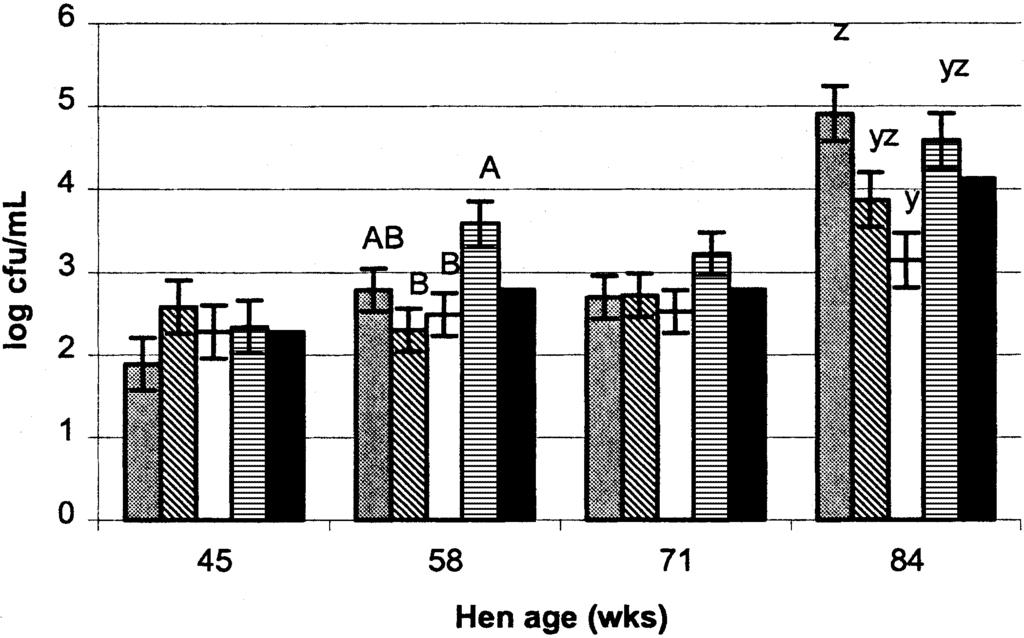 HEN STRAIN AND AGE EFFECTS ON BACTERIAL CONTAMINATION OF EGGS 719 DISCUSSION FIGURE 7.