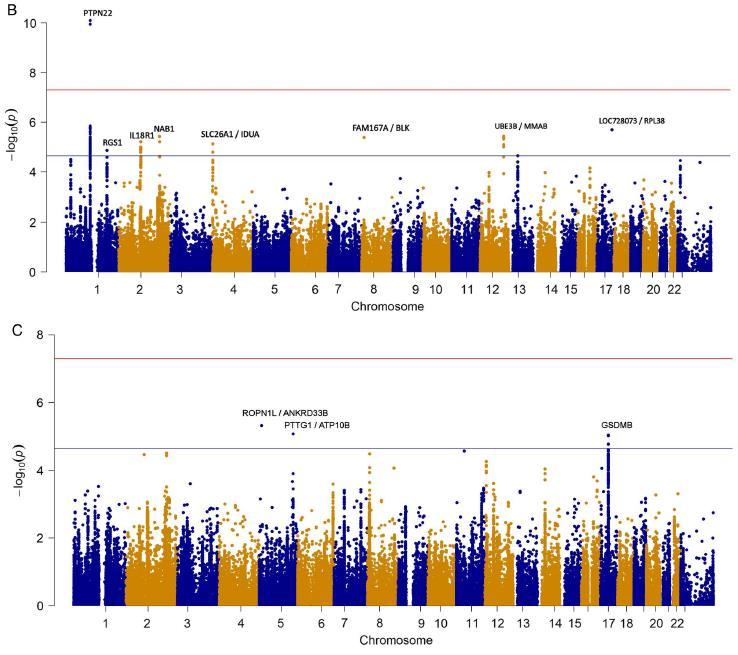 GWAS in PM and DM Adult PM Adult and juvenile DM
