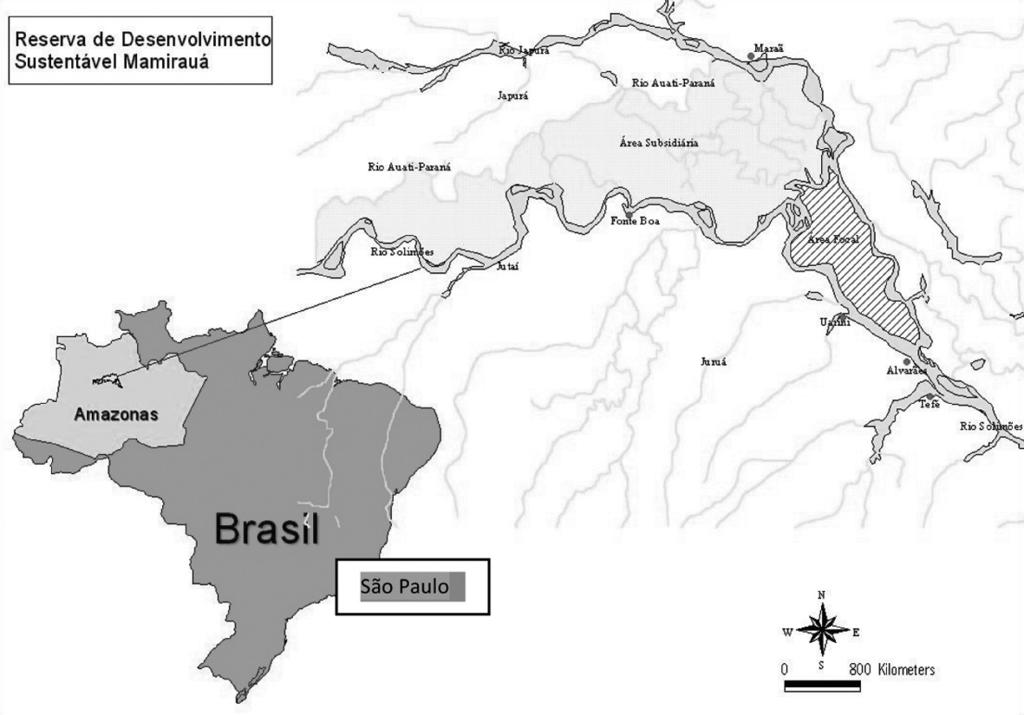 Figure 1. Mamirauá Sustainable Development Reserve and São Paulo City. flooded, with water levels rising 10 to 12 meters above regular levels.
