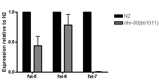 A. B. fat-5::gfp no RNAi