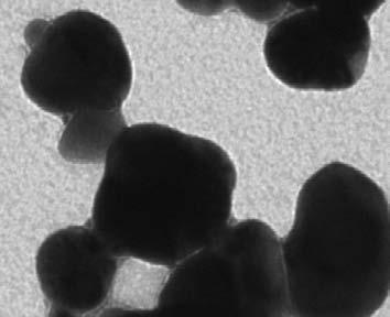 Antibody-Au b. Figure S2. Characterization of HDL-miRNA binding capacity. ) Transmission electron microscopy image of monoamino Nanogold-labeled antibody (1.4 nm).