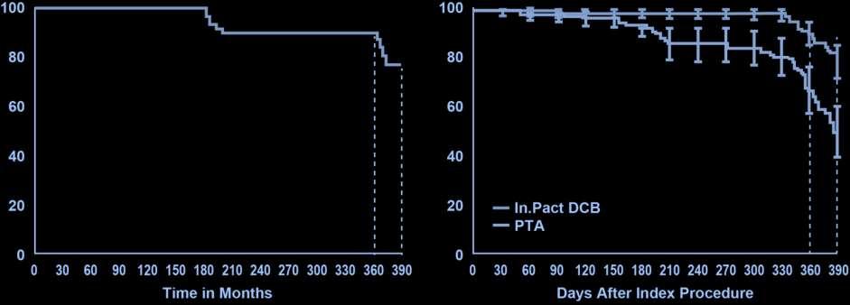 ENDURE: 12 Month Patency Patency (%) Chocolate Touch DCB IDE Study 12 Month Patency 89.9% 77.1% In.