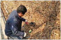 species) Gangbukgu CHC Hill near a residential area Thrown-away cans Aedes