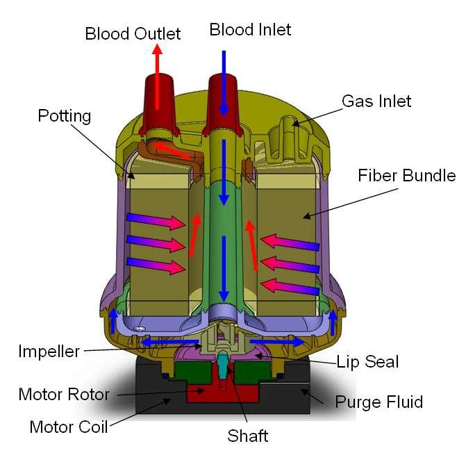 Adult Ambulatory Pump Lung Maryland Prototype III NIH R01