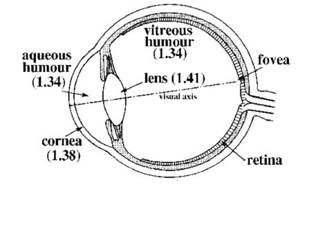 Understanding the Optics of the Eye Max difference in refractive index at air tear film/cornea interface Tear film is the optical surface that has biggest impact on
