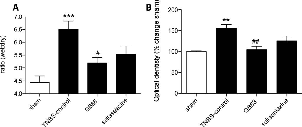 262 Lohman et al. Fig. 6. GB88 reduces macroscopic IBD-like symptoms. A, colonic length was reduced in TNBS-control animals (n 11) compared with sham (n 10).