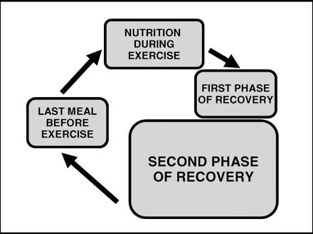 Figure 1 Proposed phases of the nutrition cycle of athletes as