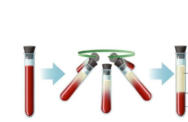 METHODS: Design of the Recombinant HIV Drug Resistant Mixture Panel xxlai- X RT-Subtype