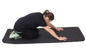 Cat Cow 2 sets of 10 reps Starting Position: On hands and knees with back parallel to the ground. Movement: Inhale.