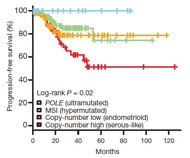 POLE (Ultramutated) Accounted for 7% of cases studied by TCGA Thought to compose 5-10% of endometrial cancers Up to 20% of