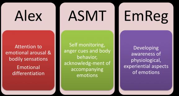 Evaluate patients with TBI and emotion dysregulation for alexithymia Treatment teaching emotional