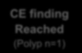 (n=10) CE finding not reached