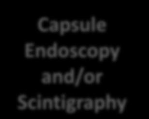 Bleeding Capsule Endoscopy Deep Enteroscopy Push Enteroscopy and/or