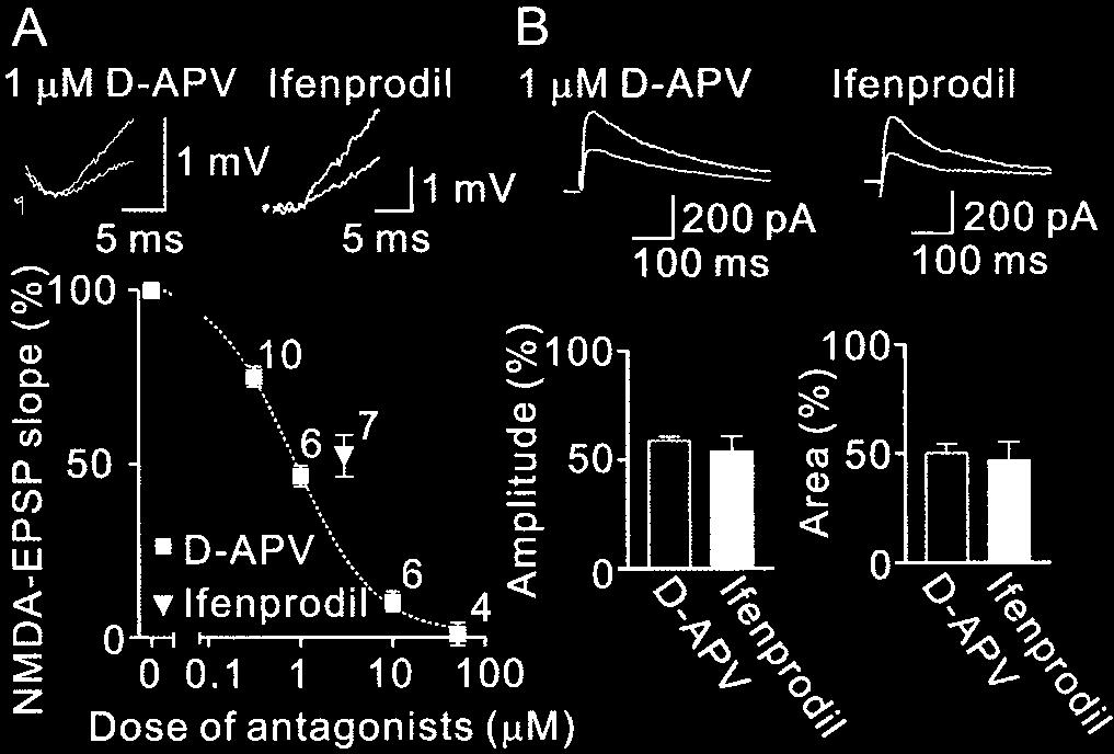 Yoshimura et al. Synaptic Plasticity and NMDA Receptor NR2 Subunit J. Neurosci., July 23, 2003 23(16):6557 6566 6561 Figure 3. Pairing stimulation produces LTP of EPSPs.