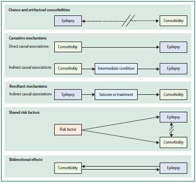 Mechanisms of Association Between Epilepsy &