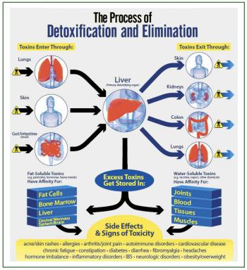 Why is Detoxification Important? A toxin is anything our bodies cannot digest or use (harmful chemicals and man-made ingredients).