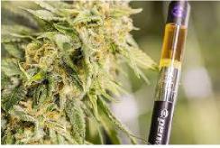 Proper Dosage First there are some things worth mentioning about the dosing and administration of cannabis.