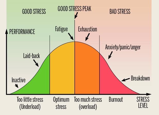 Is stress Harmful or Helpful?
