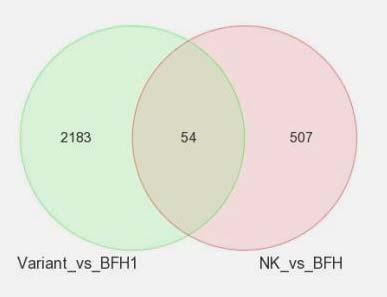 Molecular Findings 54 genes in common between NK and variants.