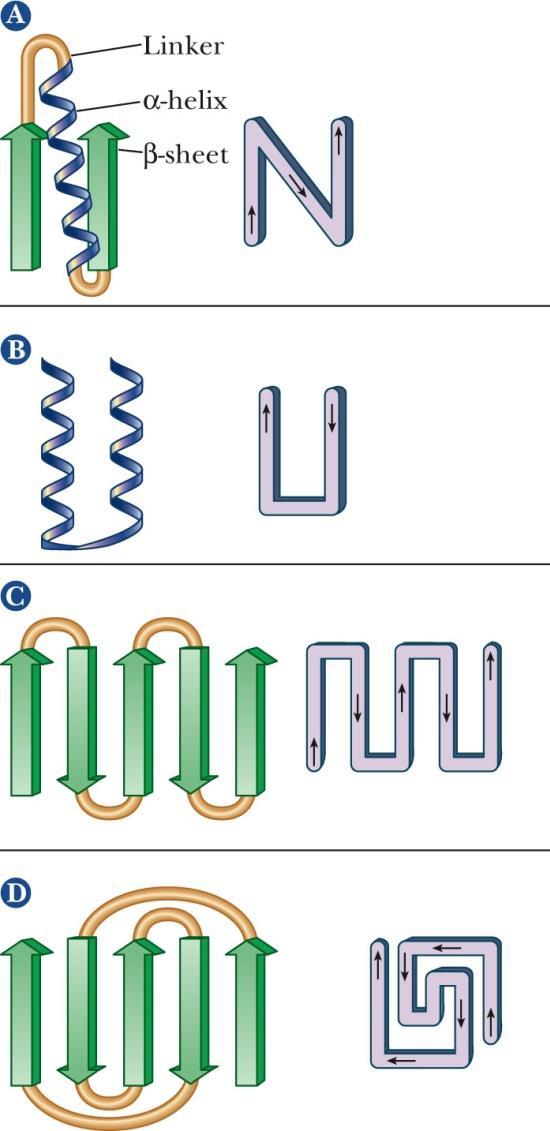 -Helices and -Sheets Supersecondary structures: a combination of - and -sections unit: (parallel) unit: