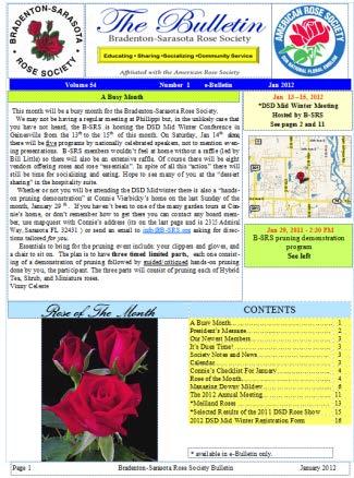 Newsletters Participate in DSD and ARS Editor s activities Share your newsletter & get on Exchange Lists Mix local articles and DSD or National Articles
