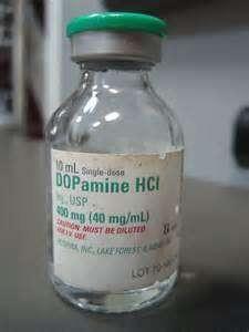 Dopamine, the immediate metabolic