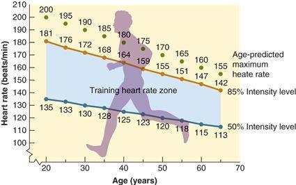MAXIMUM HEART RATE PREDICTED: 220-AGE Heart Rate BPM 200 180 160 140 120 1 2 3 4 Walking as fast as you can around the park for 20.