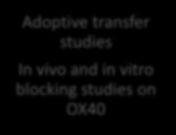 cytometry Adoptive transfer