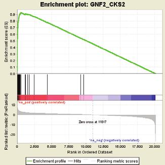 (Lower pnels) Mrker genes of the GNF2_BUB1(), GNF2_CDC2 (), GNF2_CDC2 (),