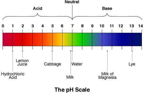 ph Scale 0 Acids