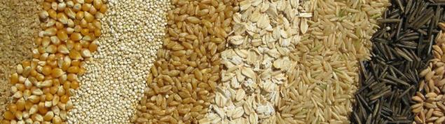 Common 100% Whole Grains Amaranth Barley Buckwheat Bulger Corn Farro Millet Oats Quinoa Brown Rice Rye Sorghum Spelt Wheat Gluten free grains 11 Civil Rights Spotlight Q: Can the Offer versus Serve