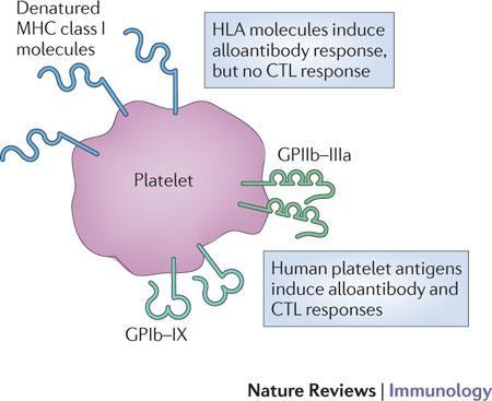 Platelets and the immune continuum John W. Semple, Joseph E.