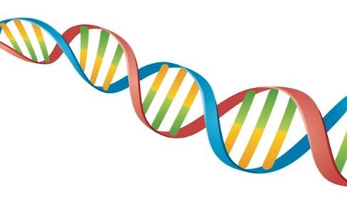 Role of Whole Genome Sequencing Study the